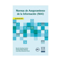 Image of NAI, normas de aseguramiento de la información